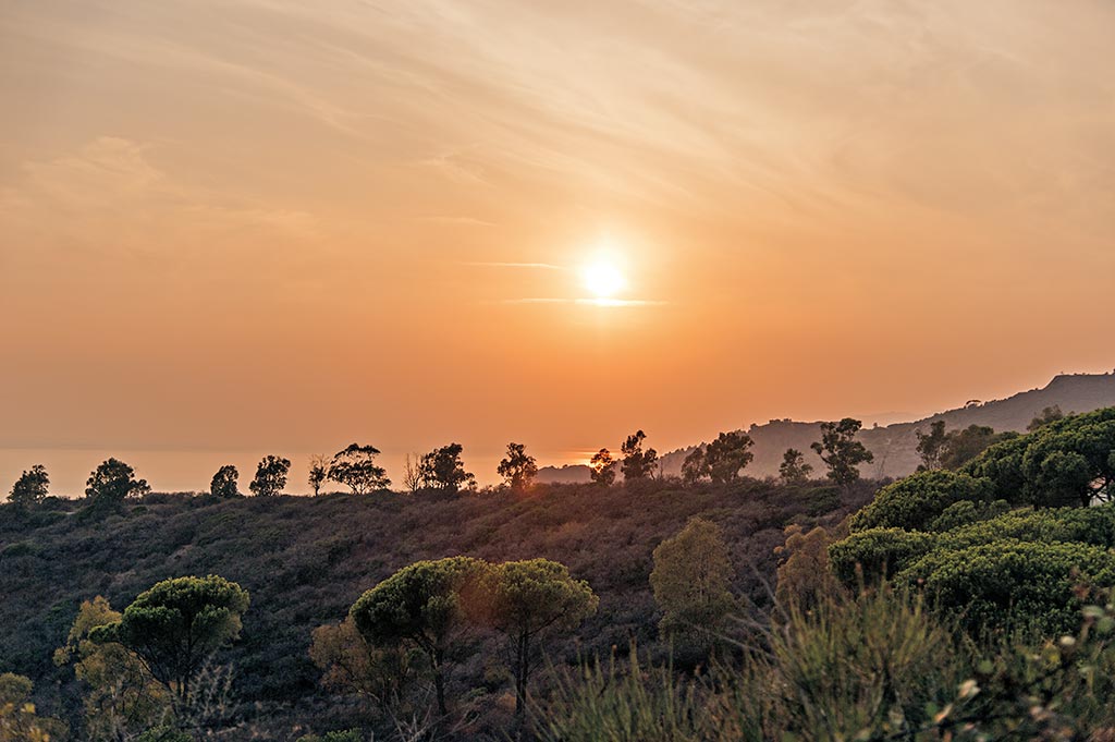 Abendstimmung auf Elba