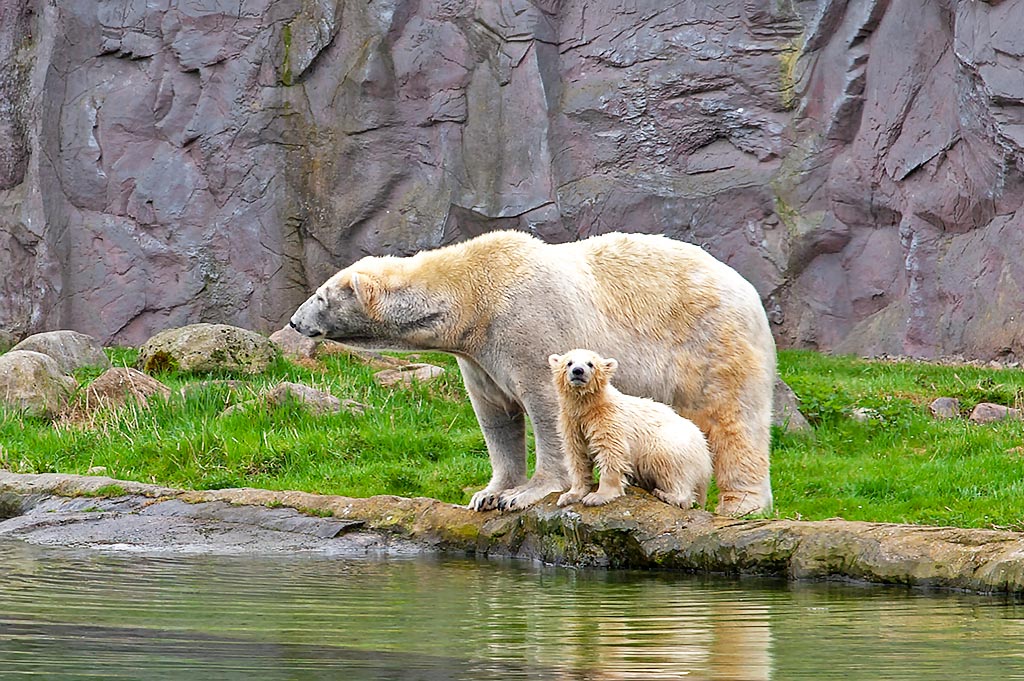 Das erste Abenteuer ist gut überstanden.