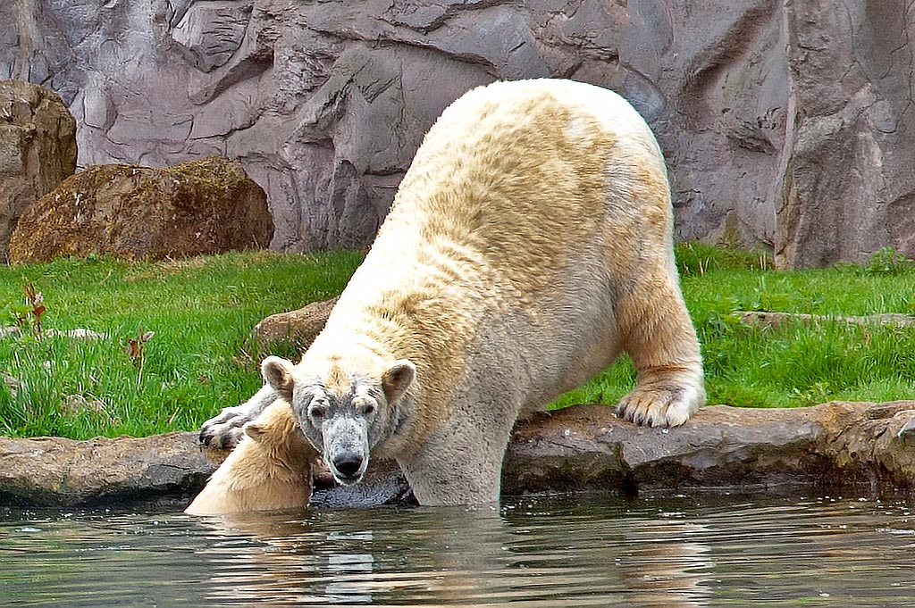 Kann nicht jemand helfen? Ratlos schaut Lara in Richtung Zuschauer.