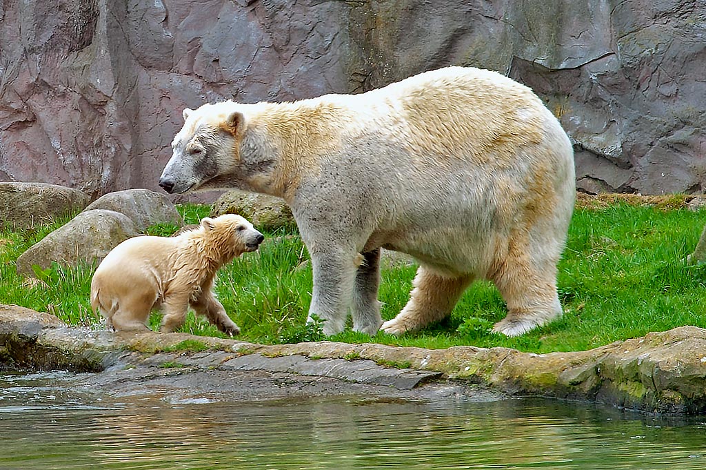 Endlich wieder an Land.