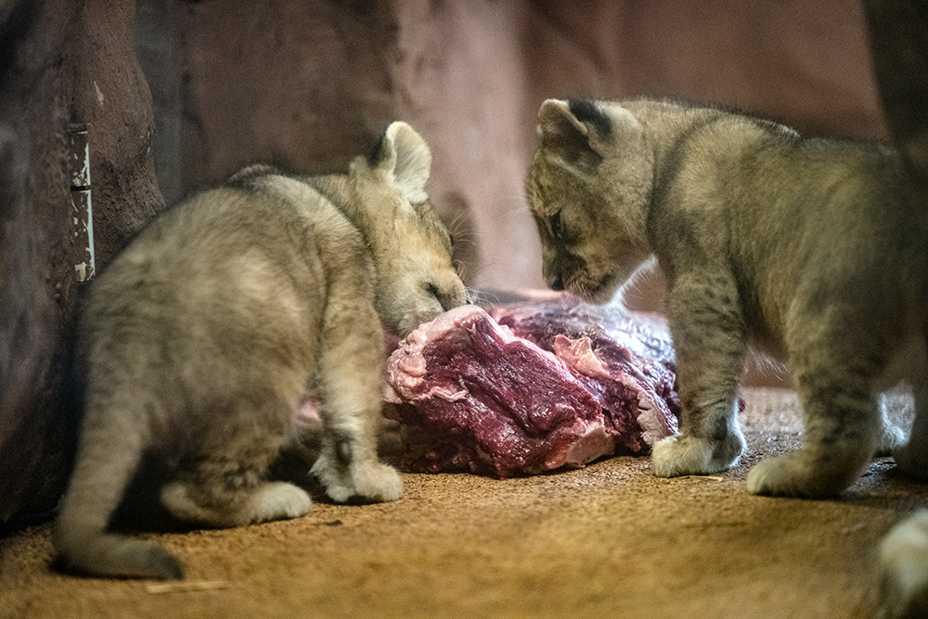Und das soll schmecken?