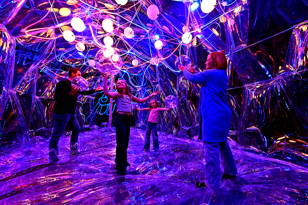 House of Magic: Gehirn